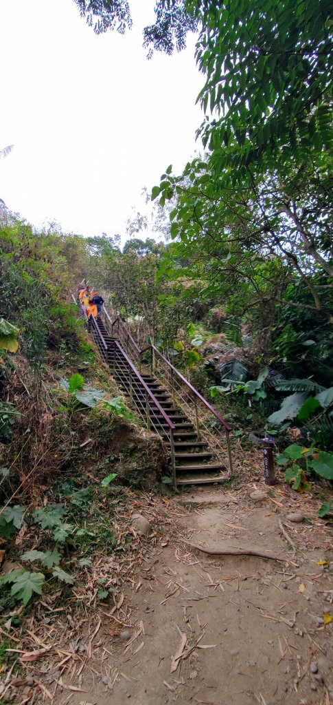 2023-02-25龍過脈森林步道_2042307