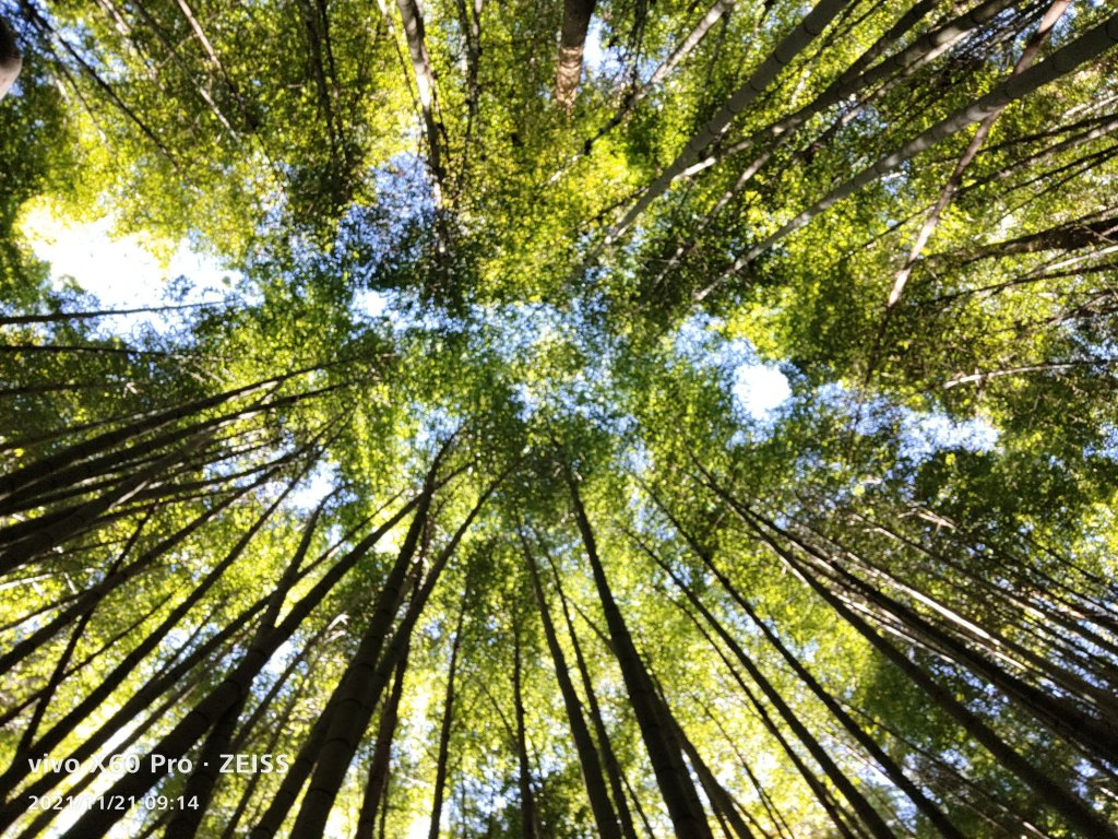 20211121雲之道霹靂山大凍山_1618492