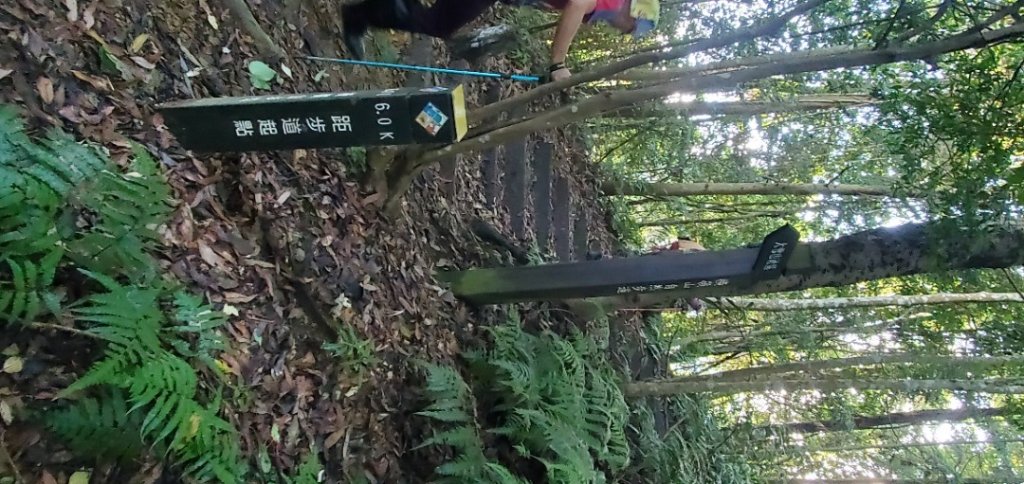 橫沙迪O型縱走_大雪山社區登山口_2826539