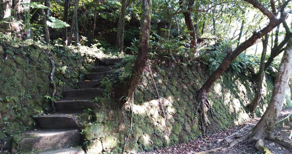 內溝山登山步道_443747