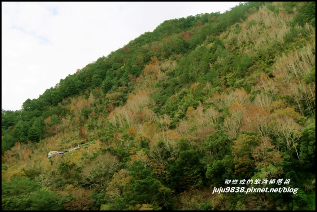 霞喀羅古道養老段_242084