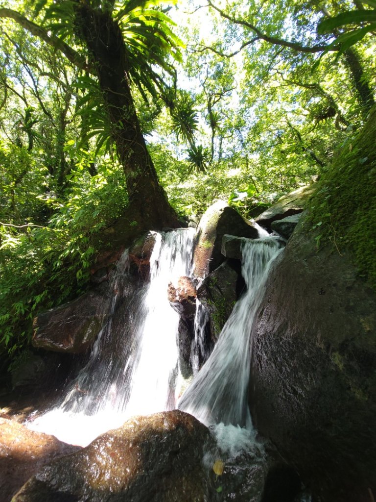 鹿角坑楓林瀑布-20240728_2601340