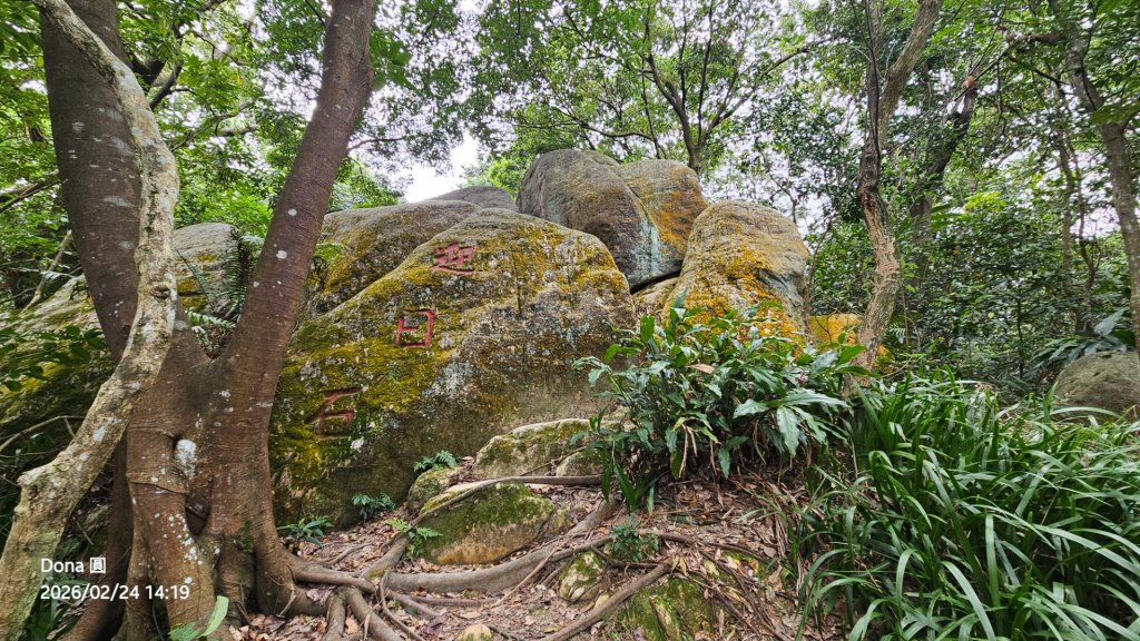 圓通寺烘爐地登山步道大O走_3007131