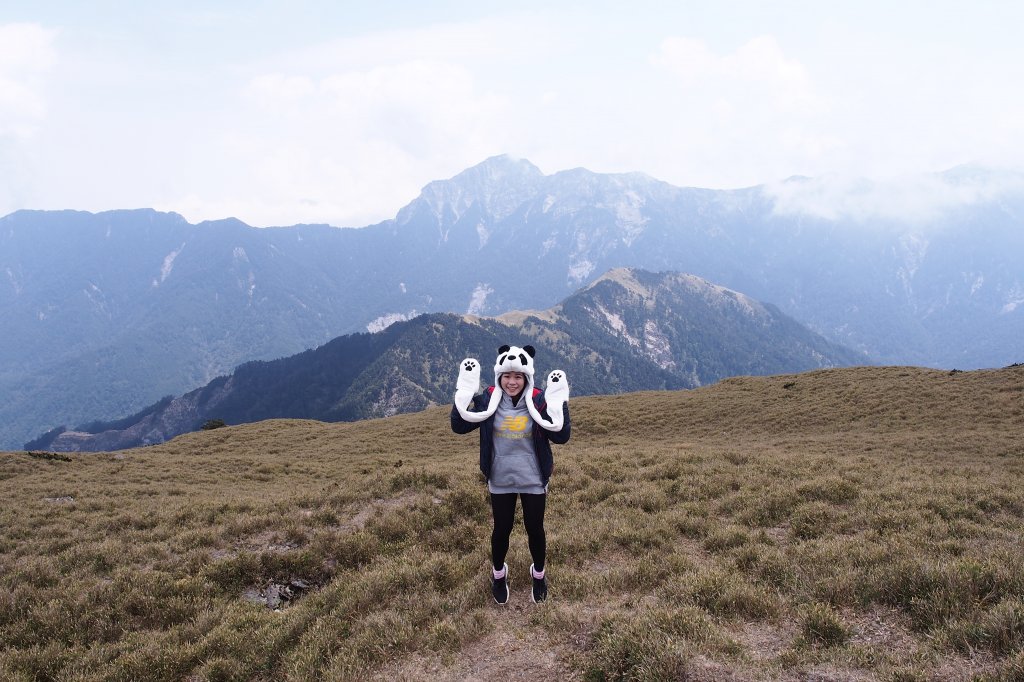 合歡山東峰封面圖