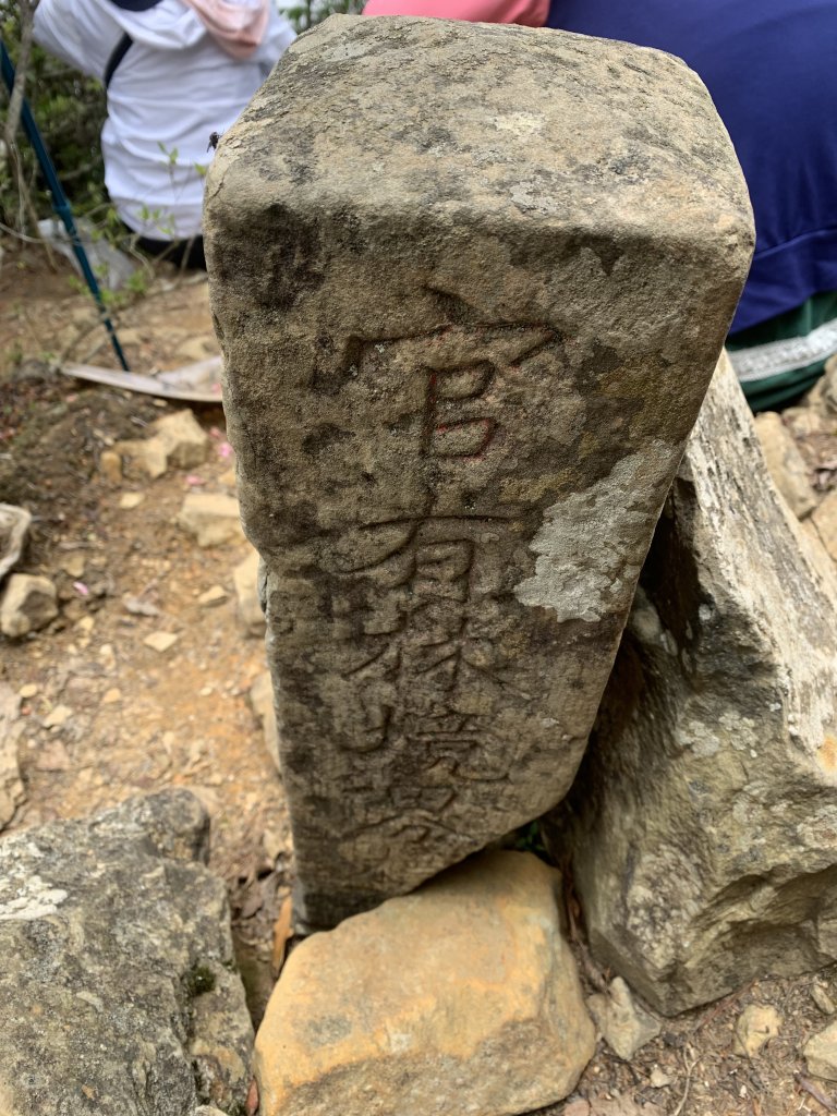 20250517義義兒玉山-東水山_2791624