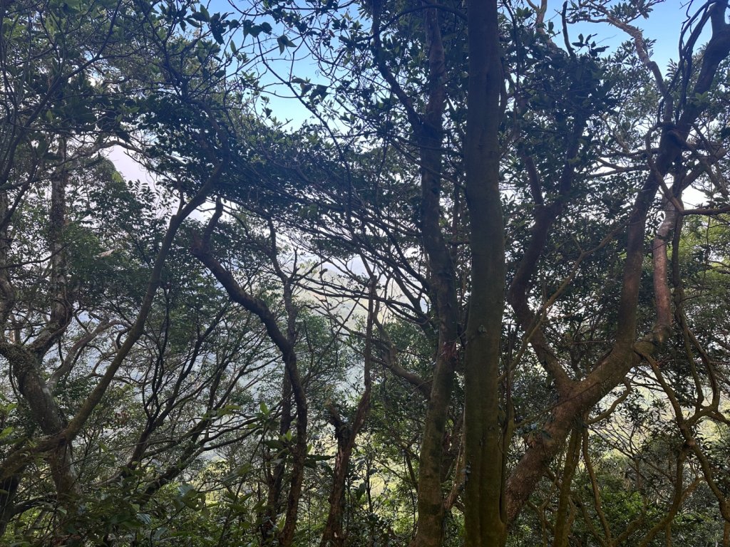 獅仔頭山_2601960