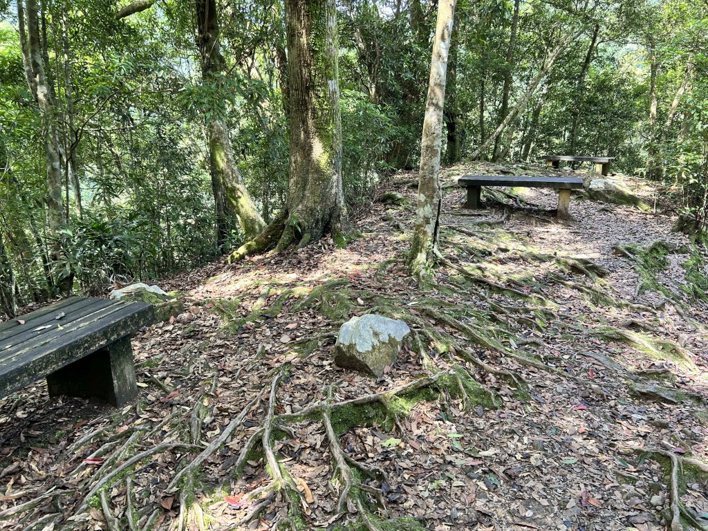 內洞國家森林遊樂區_2806877