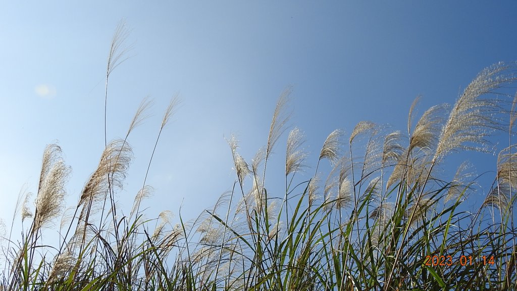 翡翠水庫壩頂/新店四十份公墓雲海+斜射光，個人在此最有層次最美的一次雲海_1993298