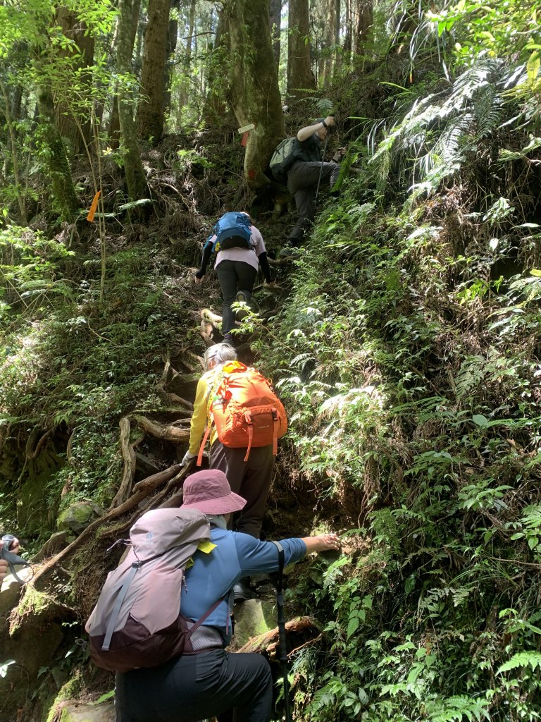 20250517義義兒玉山-東水山_2791631