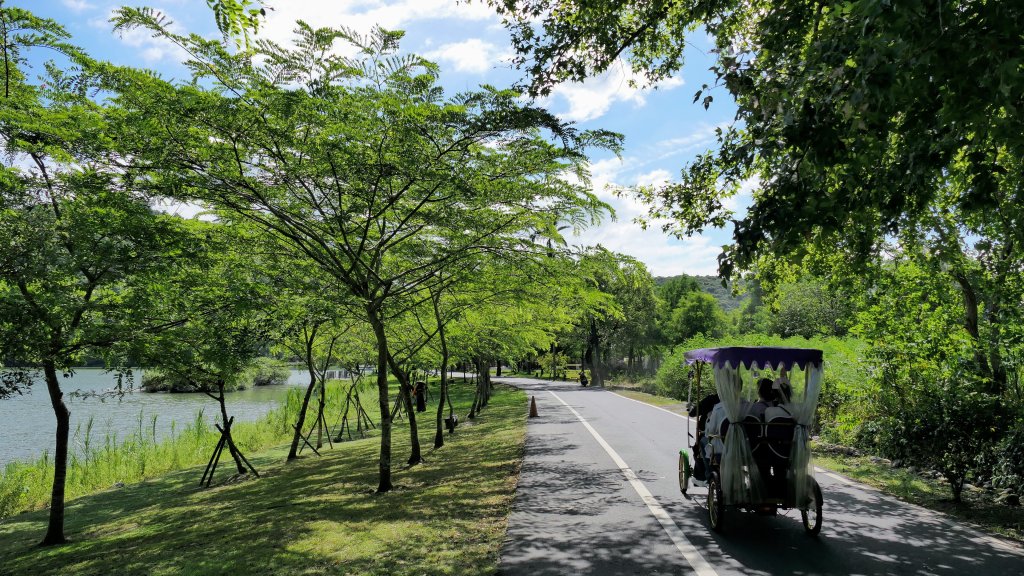 茅埔城古道_2554869