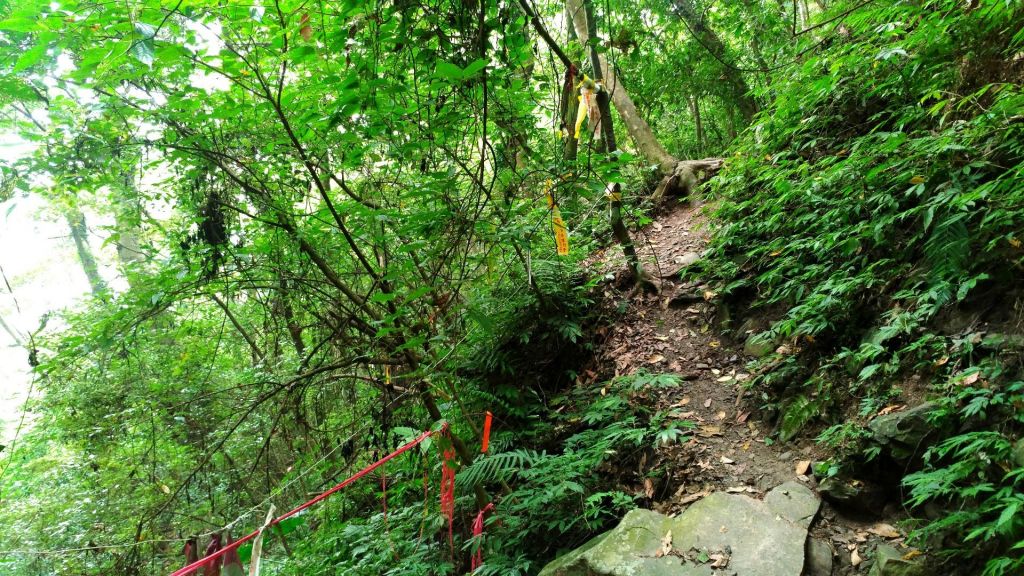 2018/06/03 水雲三星之首~虎山_345429