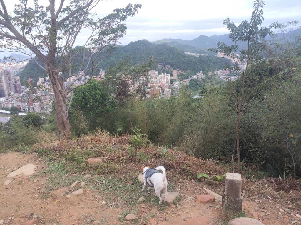 微笑山線：和美山_2953979