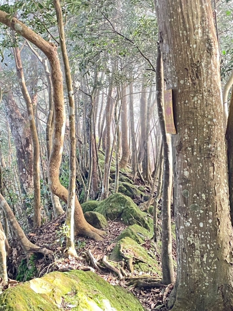 神仙縱走 2025 02/16_2714417