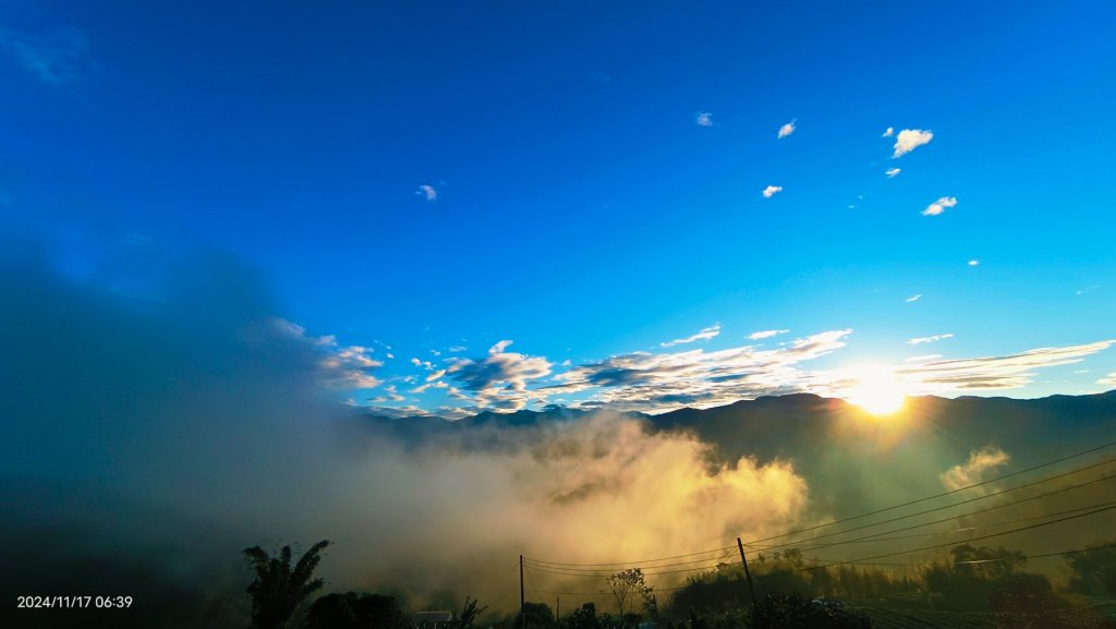 阿里山 #隙頂二延平 #頂石棹 #觀音圈 #雲海 #琉璃光 #雲瀑 #霧虹 11/17_2649741