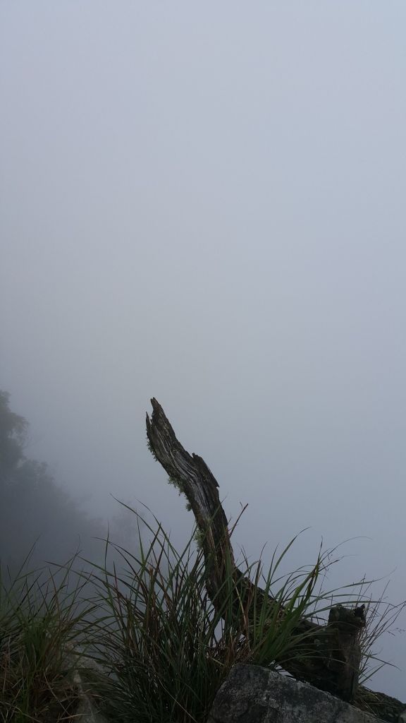 鳶嘴山 2015 10 10_138498