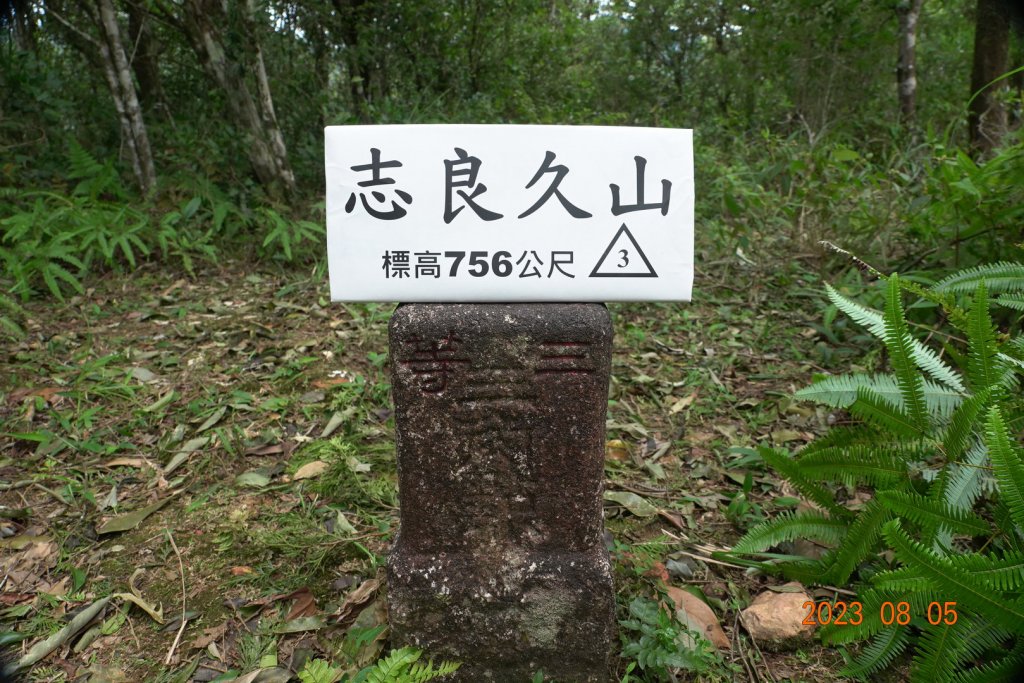新北 烏來 福山植物園 - 哈盆越嶺步道 - 志良久山封面圖