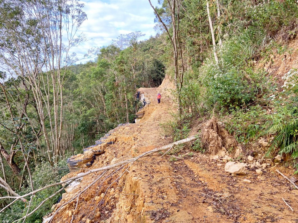 南投埔里郊山--西關刀山（南峰、東南峰、東南南峰、東南東峰）、內楓仔林山、豐林口山、南東眼山（南峰）_1494684