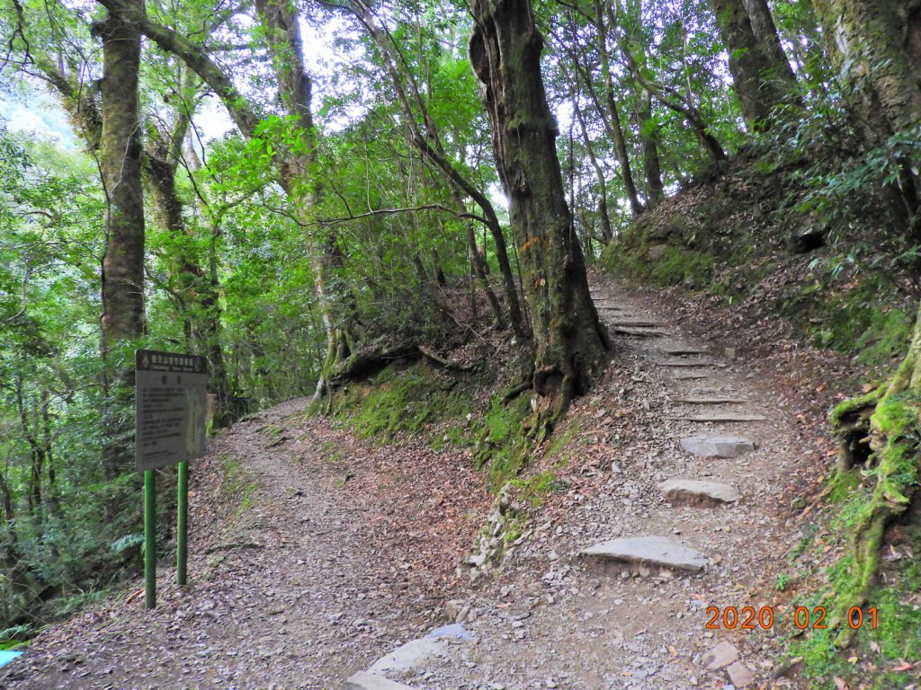 桃園 復興 塔曼山_820269