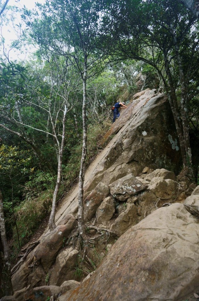 五寮尖登山步道_1383150