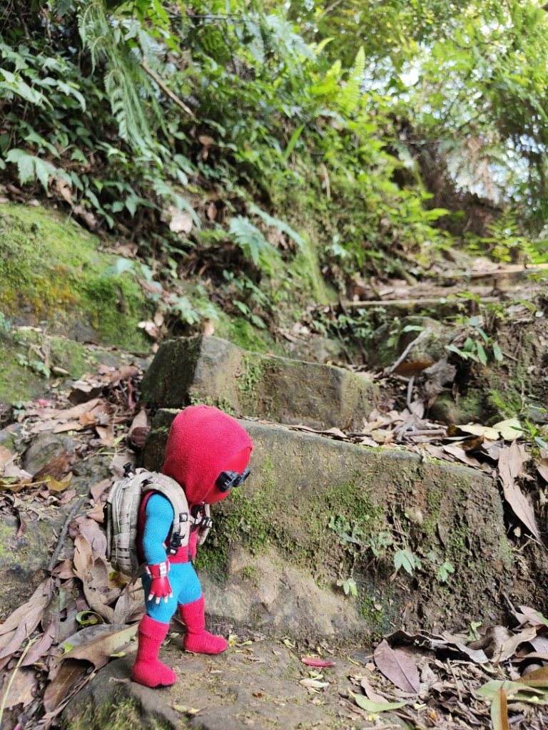 2023.04.13 大艽芎古道登溪洲山_2111597