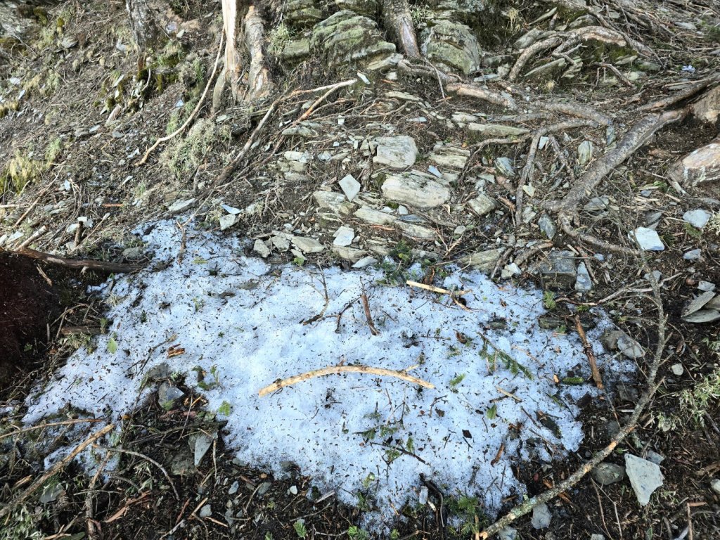 卓社大山〔武界栗栖溪登山口起登〕_2748479