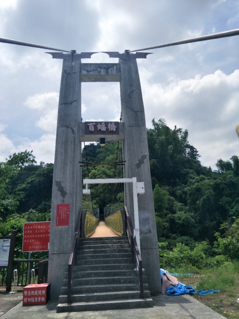 蝙蝠洞_1442901