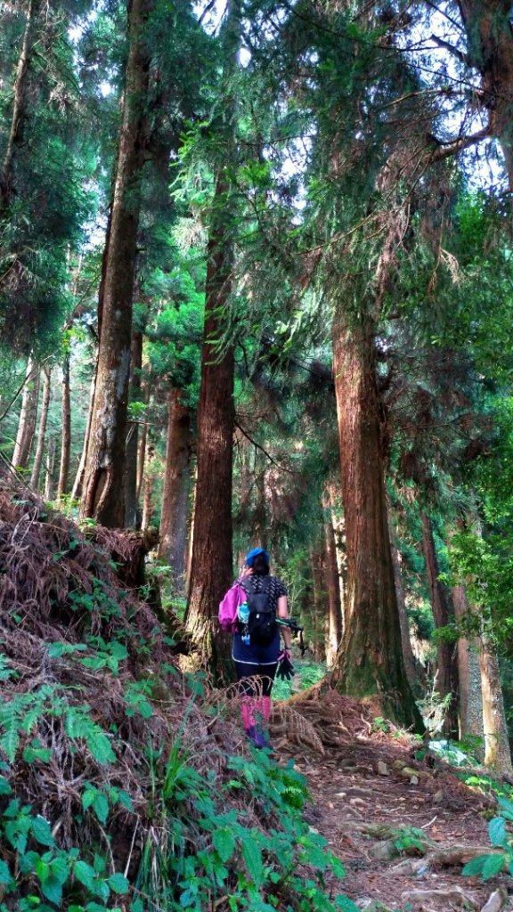 特富野、兒玉山、東水山、北霞山、一次滿足_1005773