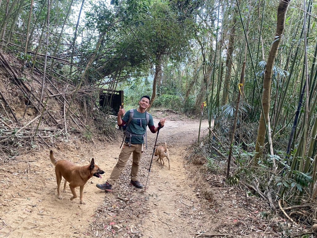 金童山.汶水山.玉女山【冬天的郊山縱走=高山等級的享受】_2680906
