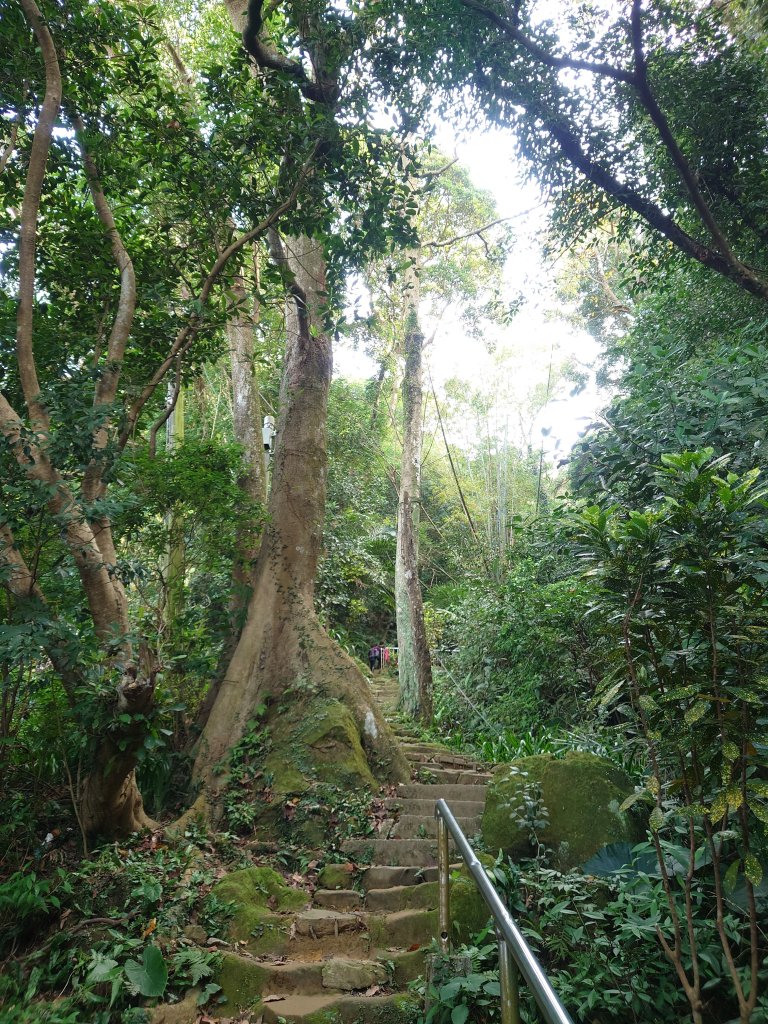 鳶山(福德坑山)_1576236