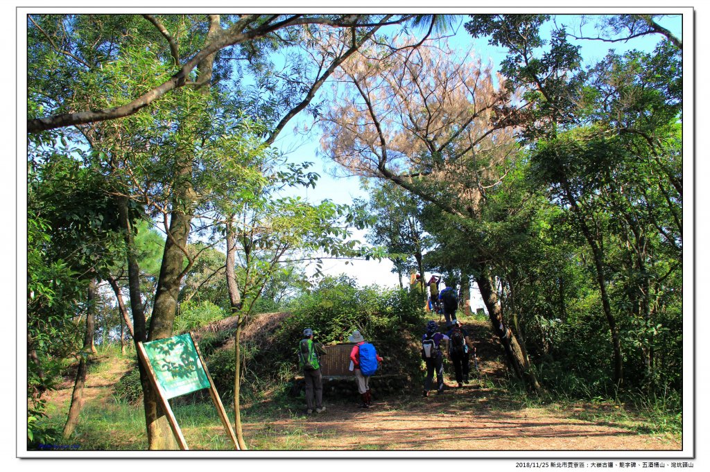 大嶺古道、五酒桶山縱走灣坑頭山_469504