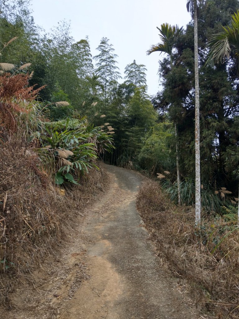 梨子腳山(小百岳#57) & 太平雲梯 (2021/1/29)_1423178