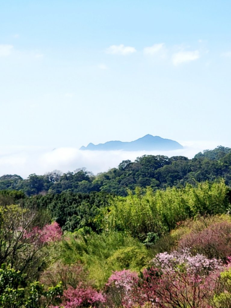 十八份、六窟 - 田園之美_2028433