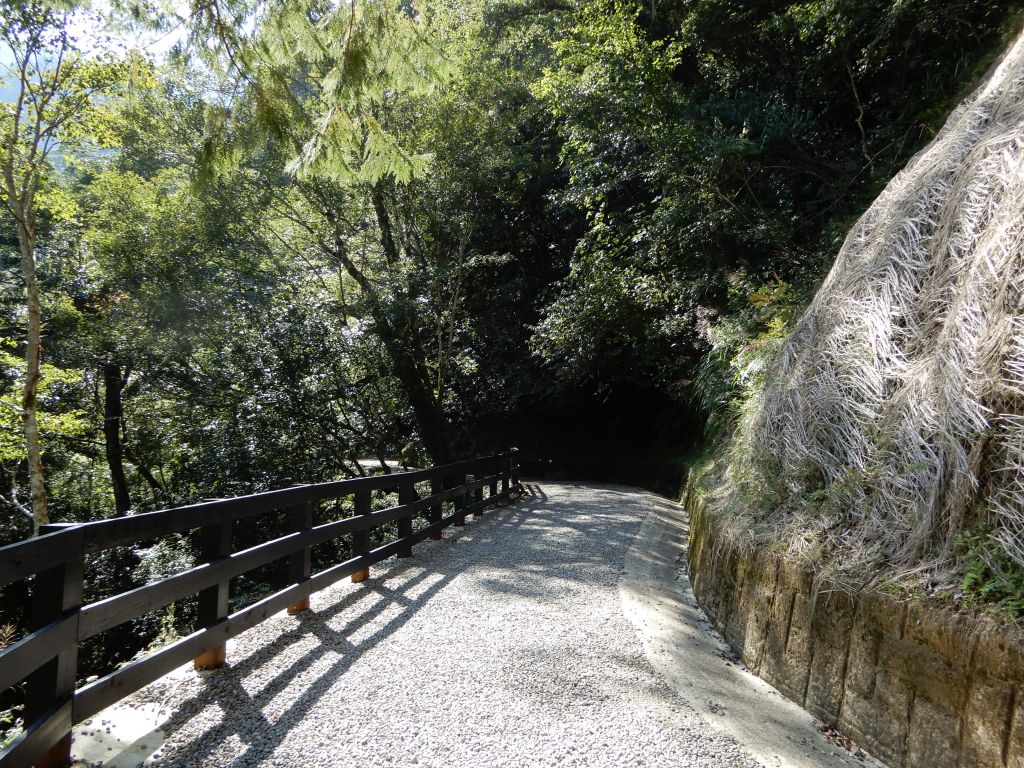 20171024_拉拉山神木群+塔曼山_193798