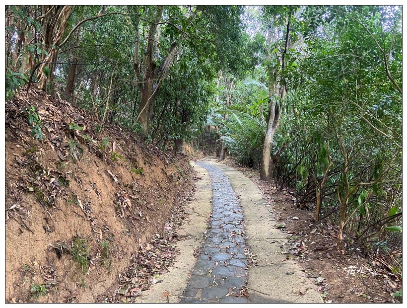 寶山迴龍步道、大統台山_2705037