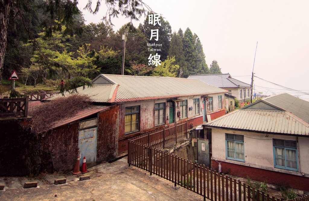 阿里山 眠月線_1661143