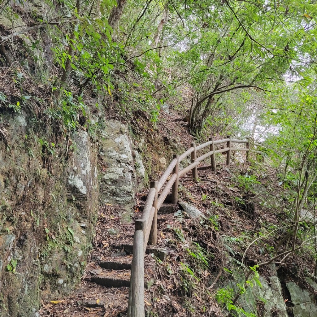 惠蓀林場山嵐小徑步道_1520465