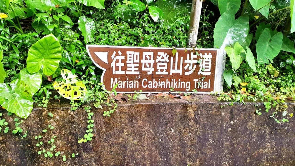 【中級山】宜蘭抹茶山（三角崙山），聖母登山步道，五峰旗瀑布_2741067