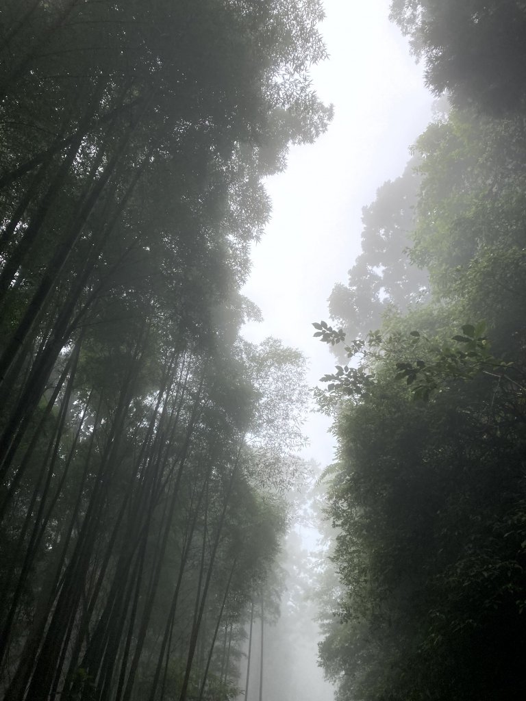2023-09-30 頂石棹 雲之道_2300728