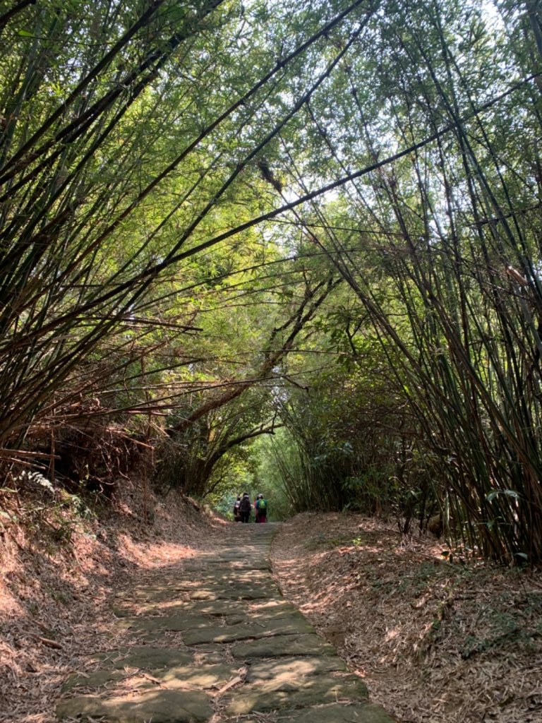 【台北】台北大縱走第五段-與城市相鄰_869107