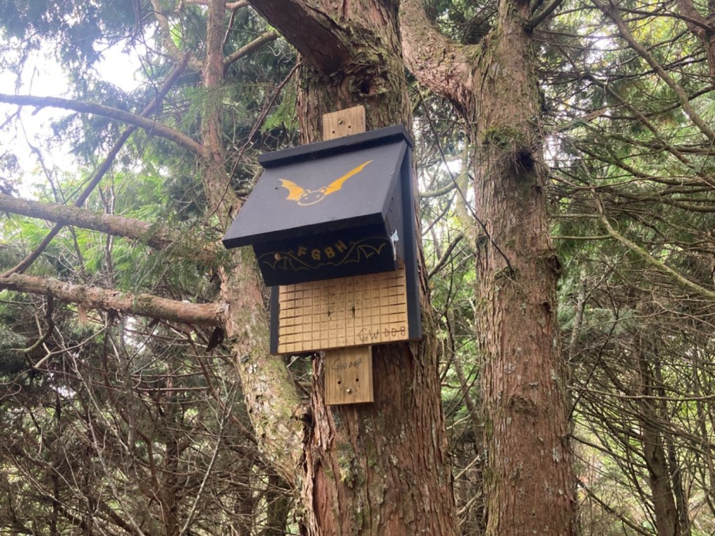 雲霧步道_2316079