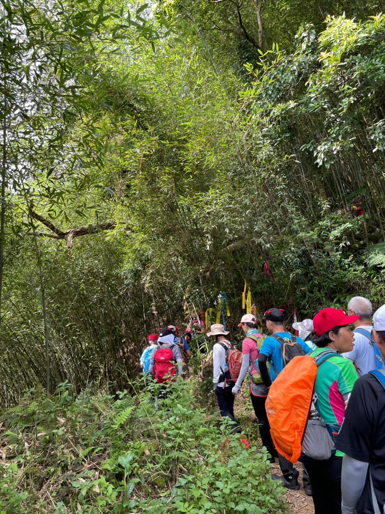 金詩塞內_2236610