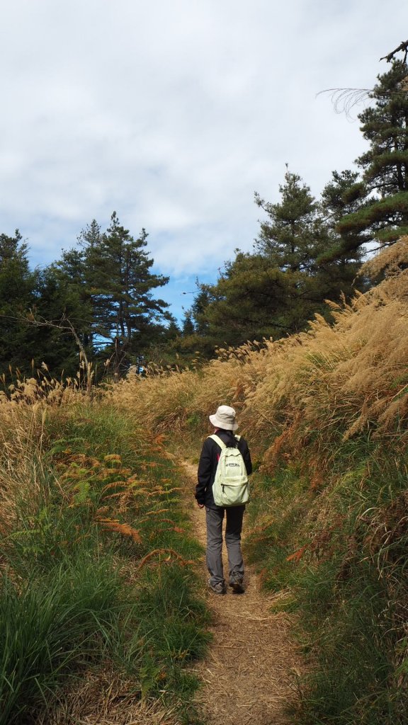 台中鞍馬山船型山蹤走20191124_748551