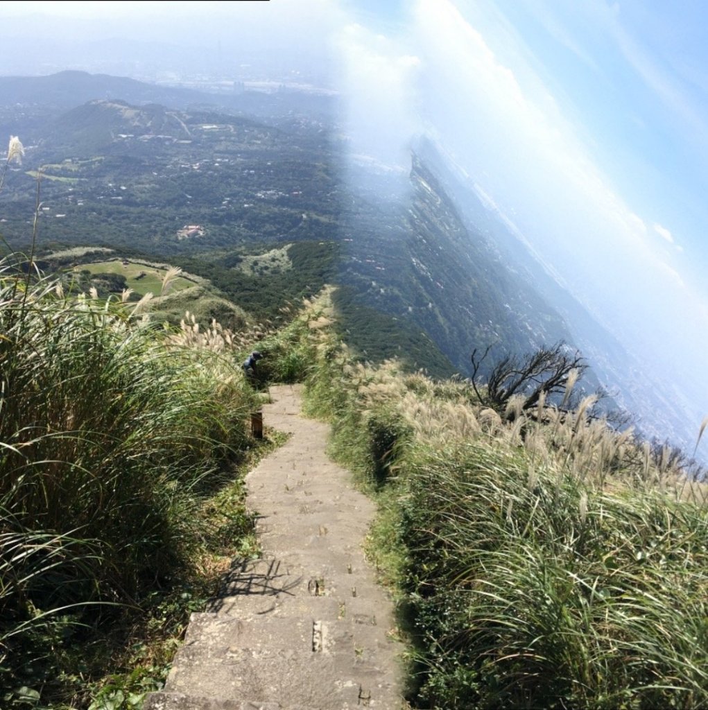 七星山主峰小白岳這個時節欣賞芒花季_445499