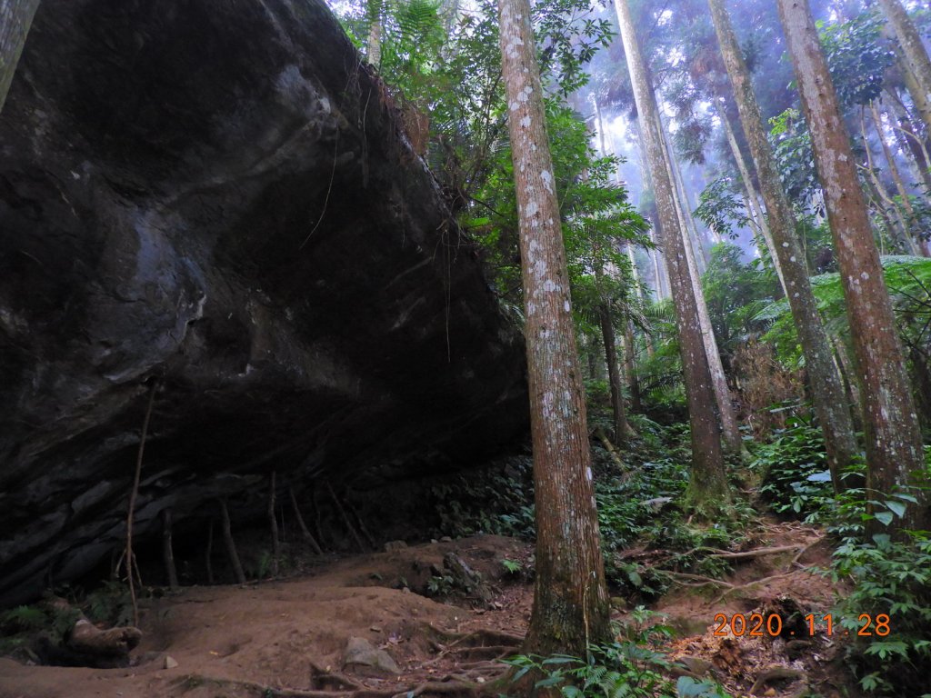 苗栗 南庄 向天湖山、光天高山_1189004