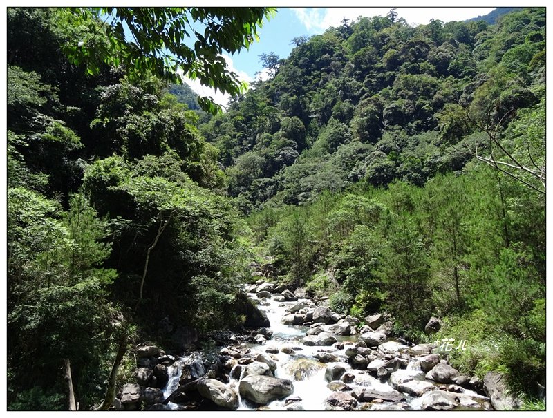 谷關/佳保台山登山步道_999788