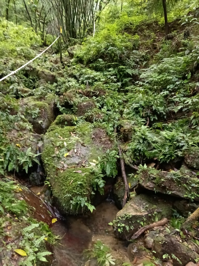 平溪區三功大厝+番子坑山+千階嶺步道O型_2781124