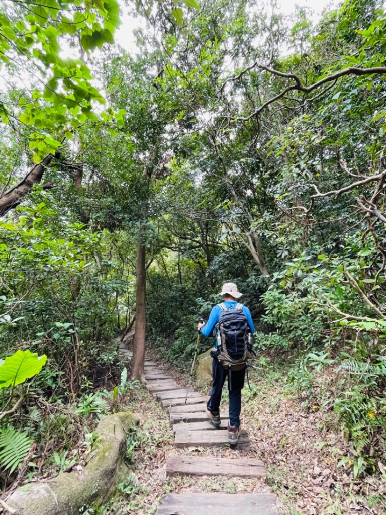 1131207剪刀石山-金面山_2664655