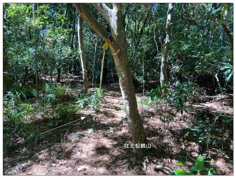 北松鶴山、德芙蘭步道 (台中 和平)_2922148
