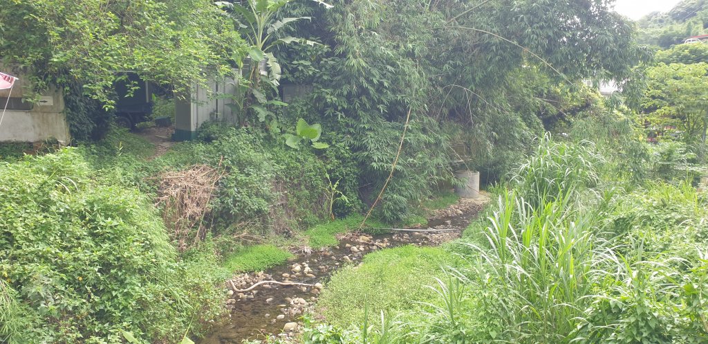 飛鳳山 觀日坪古道_1752048