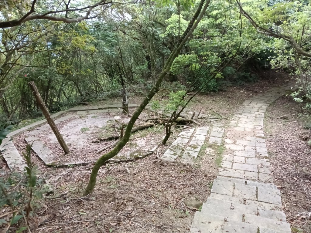 平溪區淡蘭山徑-平湖西步道+內平林山+東步道O型_2769995